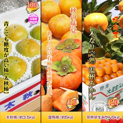 【発送月固定定期便】創業100年坂出産のフルーツとさぬきの特産品の定期便【Cコース9回】全9回