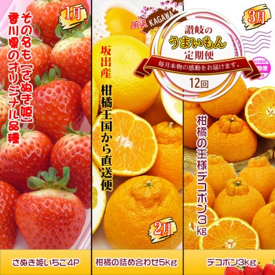 【発送月固定定期便】創業100年坂出産のフルーツとさぬきの特産品の定期便【Cコース12回】全12回