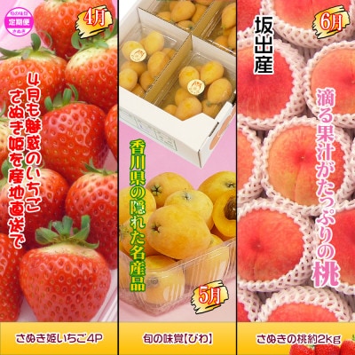 【発送月固定定期便】創業100年坂出産のフルーツとさぬきの特産品の定期便【Cコース12回】全12回