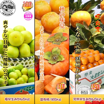【発送月固定定期便】創業100年坂出産のフルーツとさぬきの特産品の定期便【Cコース12回】全12回