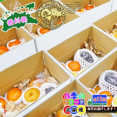 【毎月定期便】創業100年の老舗が選んだ厳選フルーツの詰め合わせ【プレミア便】全12回