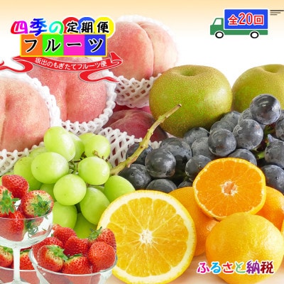【2週間毎定期便】創業100年の老舗が選んだ厳選フルーツの詰め合わせ【プレミア定期便】全20回
