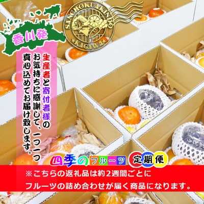 【2週間毎定期便】創業100年の老舗が選んだ厳選フルーツの詰め合わせ【プレミア定期便】全18回