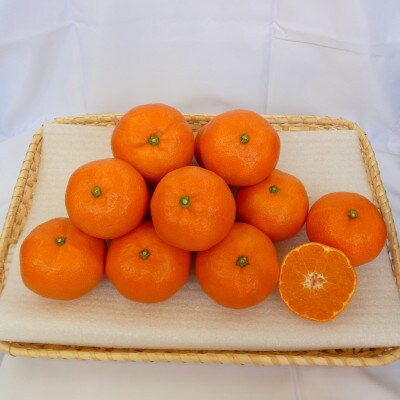 小原紅早生みかん 約5kg