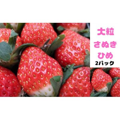 越冬葉付き完熟ネーブル約5kgとさぬき姫いちご約250g×2
