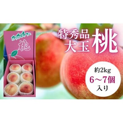 坂出美味しい桃　約2kg(6～7個入り)