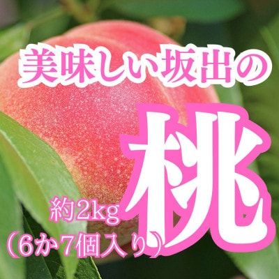 坂出美味しい桃　約2kg(6～7個入り)