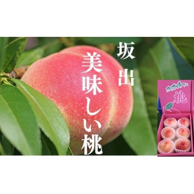 坂出美味しい桃　約2kg(6～7個入り)