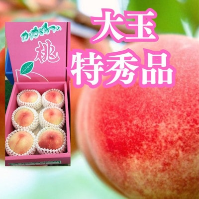 坂出美味しい桃　約2kg(6～7個入り)