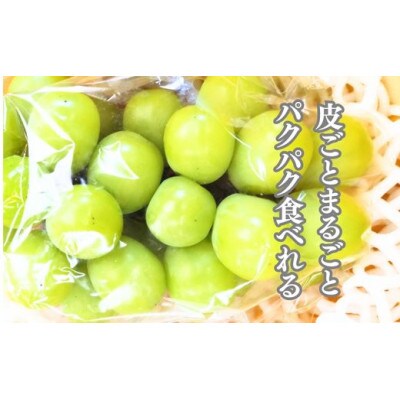 大粒シャインマスカット　2房箱入り(約1.5kg)