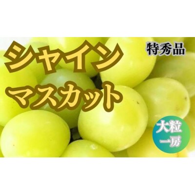 大粒シャインマスカット　一房箱入り(約750g)