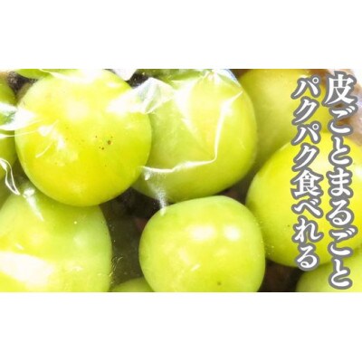 大粒シャインマスカット　一房箱入り(約750g)