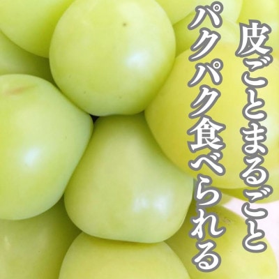 大粒シャインマスカット　一房箱入り(約750g)