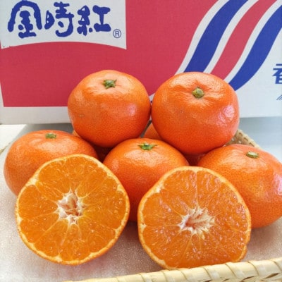 小原紅早生みかん 5kg