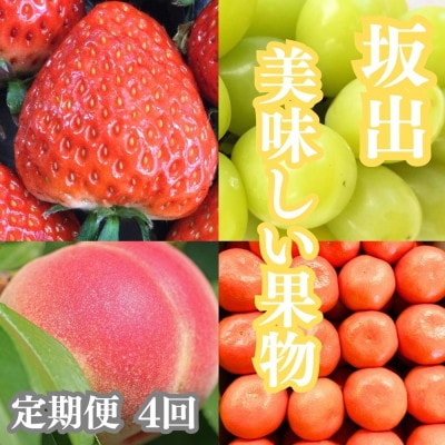 【発送月固定定期便】坂出の美味しい果物定期便　季節の果物を年間4回に分けてお届け!全4回