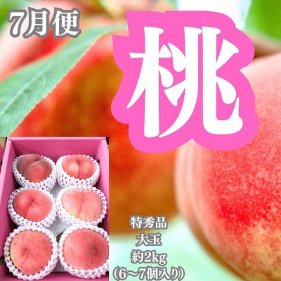 【発送月固定定期便】坂出の美味しい果物定期便　季節の果物を年間4回に分けてお届け!全4回