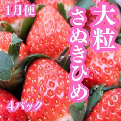 【発送月固定定期便】冬の美味しい果物全3回