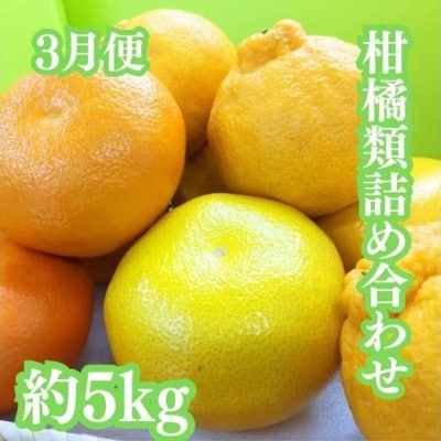 【発送月固定定期便】冬の美味しい果物全3回