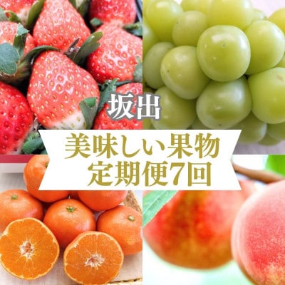 【発送月固定定期便】坂出美味しい果物定期便全7回