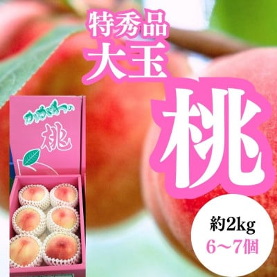 【発送月固定定期便】坂出美味しい果物定期便全7回