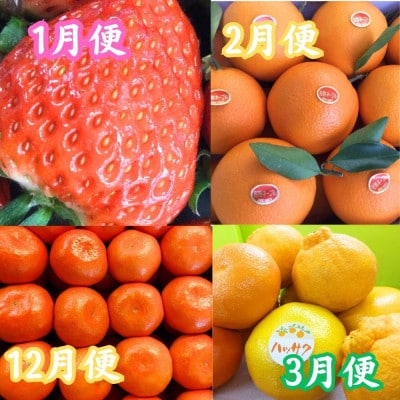 【発送月固定定期便】坂出美味しい果物冬・夏定期便全7回
