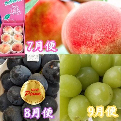 【発送月固定定期便】坂出美味しい果物冬・夏定期便全7回