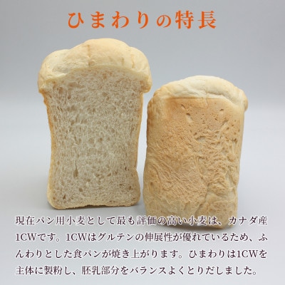 [パン用 小麦粉 強力粉] ひまわり 1kg×6袋
