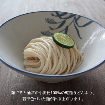 [乾麺 うどん] 讃岐玄米うどん 20袋(小麦粉と玄米全粒粉を使った乾麺うどん)