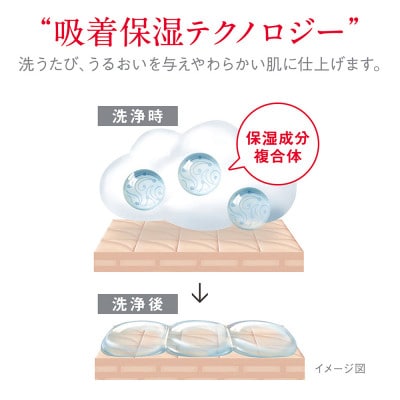 【新パッケージ】hadakara　泡ボディソープ　クリーミーソープの香り　詰替750ml×12袋