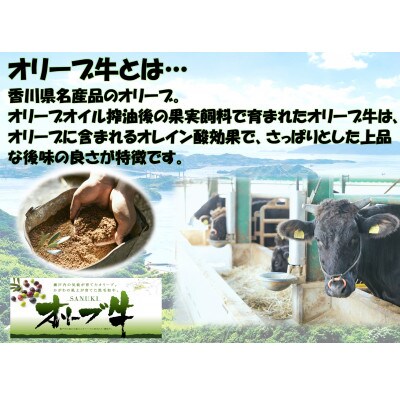 オリーブ牛赤身ステーキ　400g
