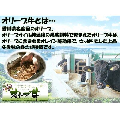 オリーブ牛　切り落とし4000g