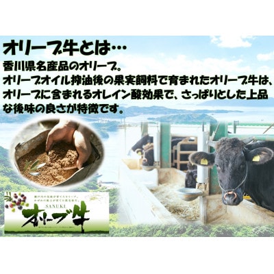 オリーブ牛&豚焼肉三昧セット　1200g