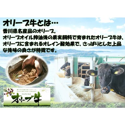 オリーブ牛焼肉二昧Bセット　1250g