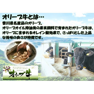 オリーブ牛　わくわくバラエティーセットA