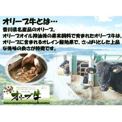 オリーブ牛　ハンバーグ20袋・牛すき丼10袋セット