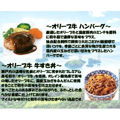 オリーブ牛　ハンバーグ9袋・牛すき丼6袋セット