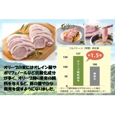 オリーブ豚　ロース焼肉用　300g