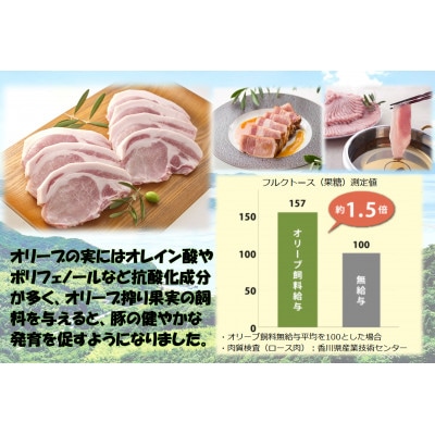 オリーブ豚　ロース焼肉用　500g
