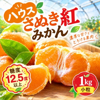 【香川県共通返礼品】ハウスさぬき紅みかん　小粒1kg