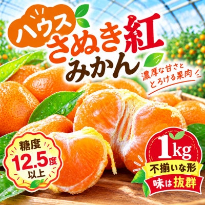 【香川県共通返礼品】ハウスさぬき紅みかん　訳ありサイズ色々　約1.0kg