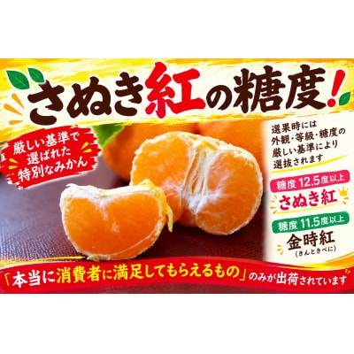【香川県共通返礼品】ハウスさぬき紅みかん　訳ありサイズ色々　約1.0kg