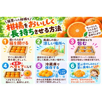 【香川県共通返礼品】ハウスさぬき紅みかん　訳ありサイズ色々　約1.0kg