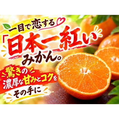 【香川県共通返礼品】小原紅早生みかん　大玉　約3.0kg　2L~3L