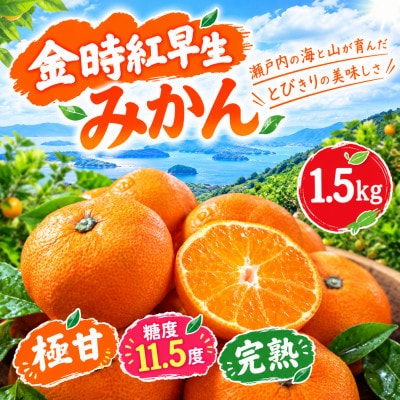 【香川県共通返礼品】金時紅早生みかん　1.5kg　2S～L