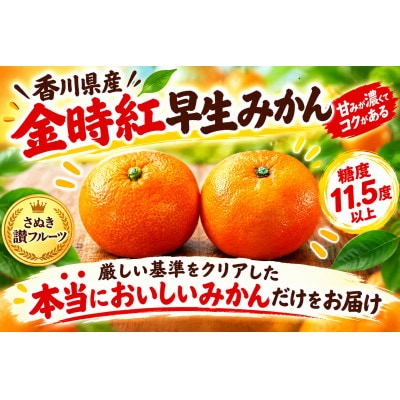 【香川県共通返礼品】金時紅早生みかん　1.5kg　2S～L