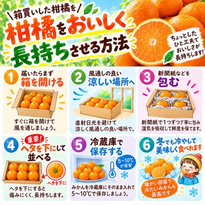 【香川県共通返礼品】金時紅早生みかん　1.5kg　2S～L