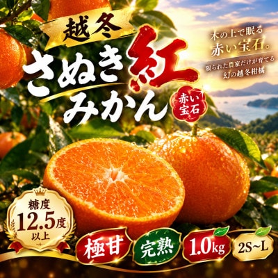 【香川県共通返礼品】越冬さぬき紅みかん　約1.0kg　2S~L