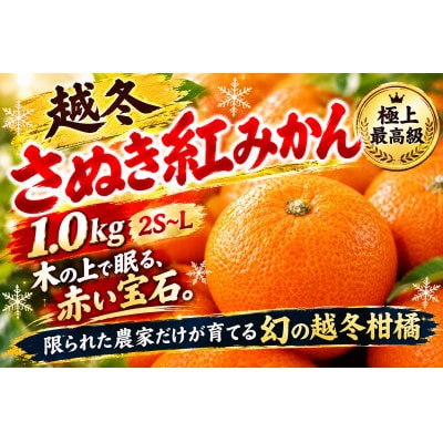 【香川県共通返礼品】越冬さぬき紅みかん　約1.0kg　2S~L