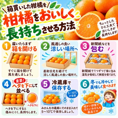 【香川県共通返礼品】越冬さぬき紅みかん　約1.0kg　2S~L