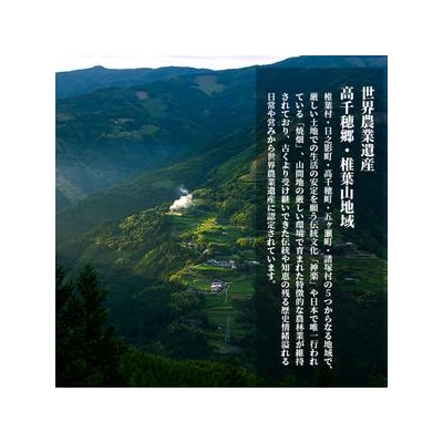 【雑穀米】藤の花色に染まる美しい六穀米《藤六穀》300g×2袋【世界農業遺産 高千穂郷・椎葉山地域】